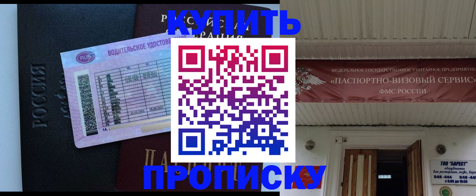 временная регистрация поиск в Новосибирской области